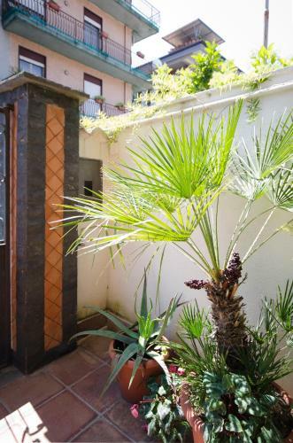 Bed & Breakfast Saint Philippe House