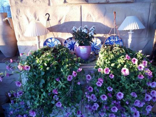 Agroturismo Casa Rural Laurel de La Reina