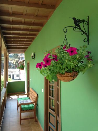 Agroturismo Casa Prieto IV