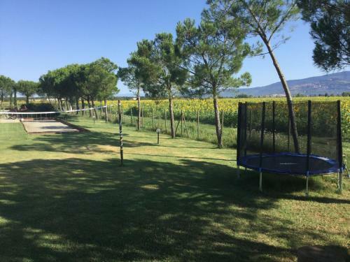 Agroturismo Terra Di Cortona