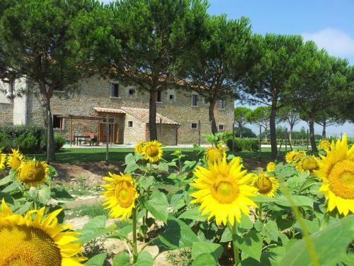 Agroturismo Terra Di Cortona