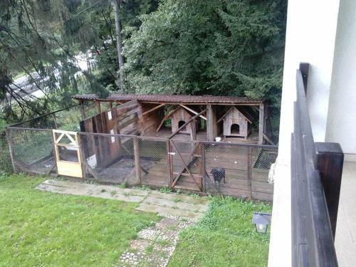 Hostal Casa Timis