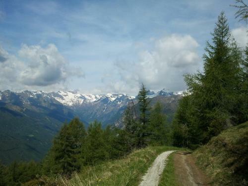 Naturhotel Haller