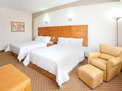 Hotel Holiday Inn Express San Luis Potosi