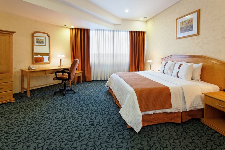 Hotel Holiday Inn Mexico City-plaza Dali