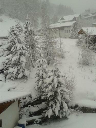 Apartamento Haus Wildsch�tz