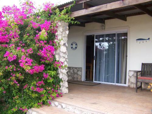 Masada Guest House B&B