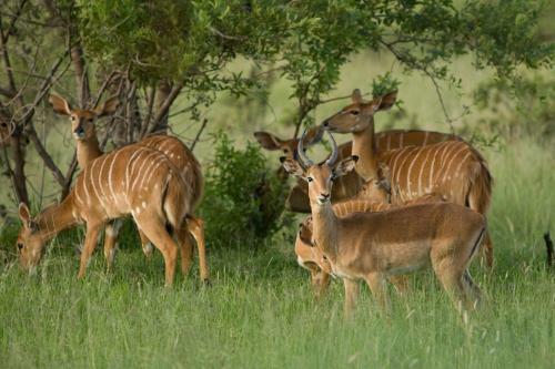 Kedar Country Lodge, Conference Centre & Spa