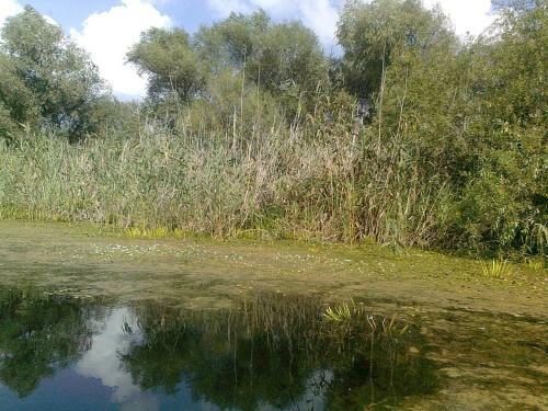 Agroturismo La Raducu