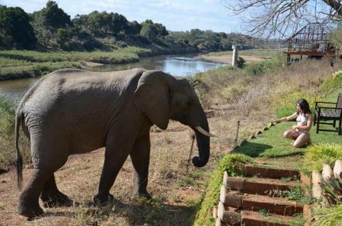 Villa Khandizwe River Lodge