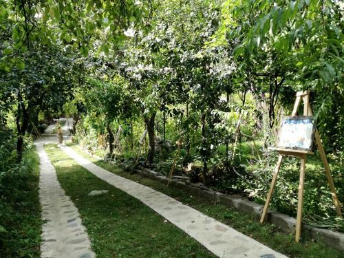 Hostal Guest House Gallery