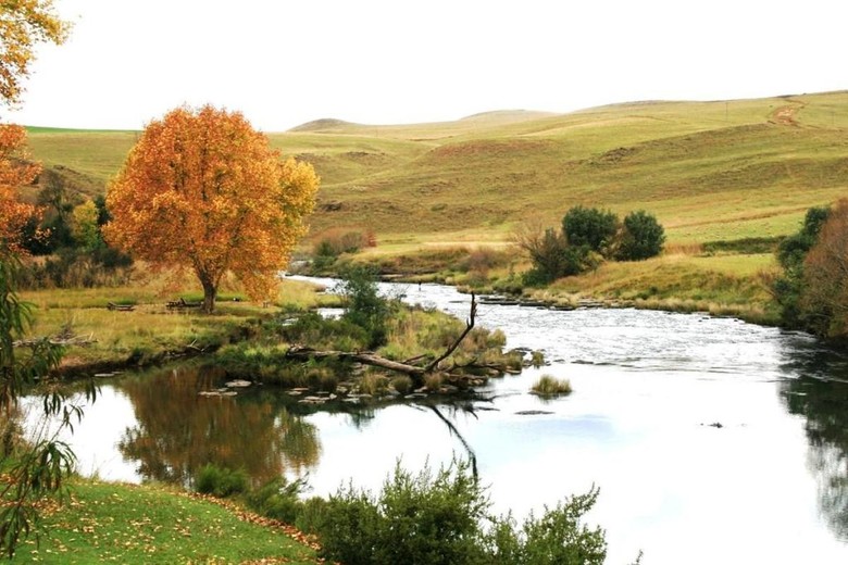 Umzimkulu River Lodge