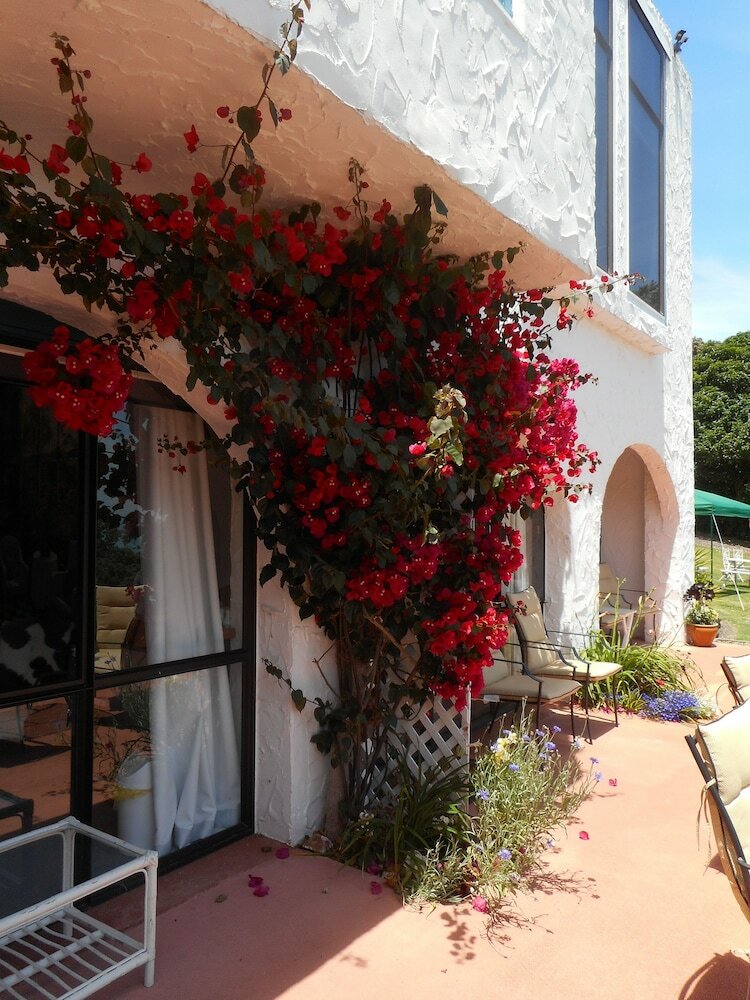Hostal La Casa Te Puru Lodge