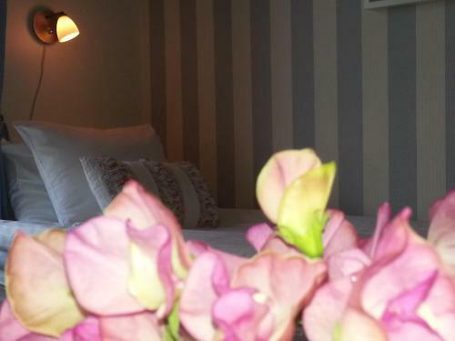 Hostal Pensionat Ankarg�rden