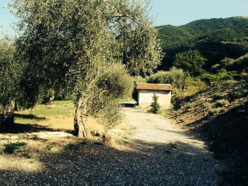 Hostal Casa Vacanze Gli Ulivi