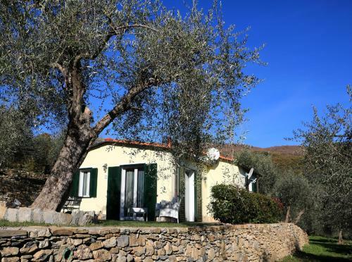 Hostal Casa Vacanze Gli Ulivi