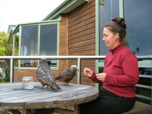 Bed & Breakfast Sails Ashore Lodge