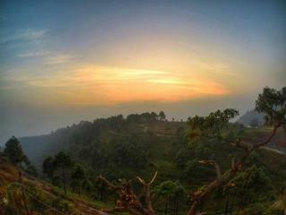Hotel V Resorts - Sattal Forest Resort