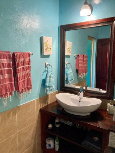 Lodge Dolphin Bay Hideaway