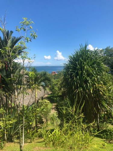 Lodge Dolphin Bay Hideaway