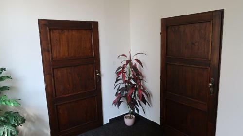 Apartma Transpet