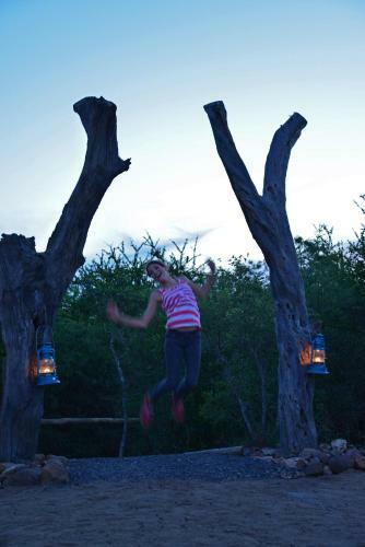 The Wild Olive Tree Camp