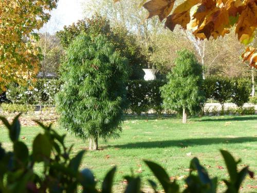 Bed & Breakfast Hadleigh Boutique Lodge