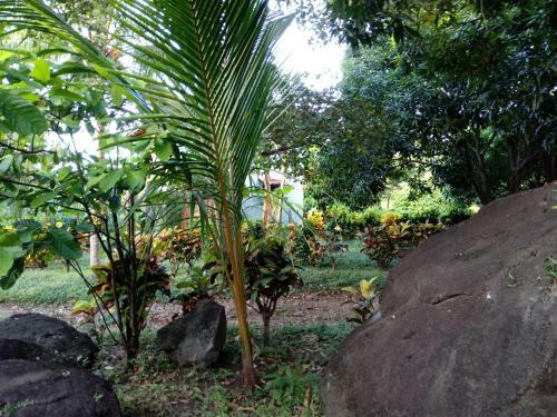 Bed & Breakfast Finca Montania Sagrada