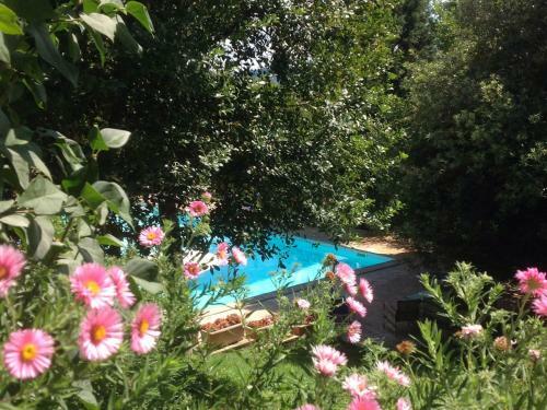 Agroturismo Il Broglino