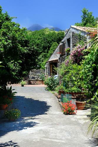 Agroturismo B&B A Rinazzu