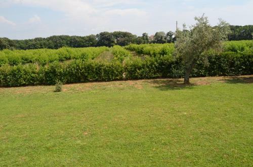 Agroturismo La Valle Dei Peschi