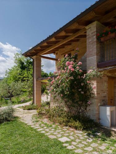 Agroturismo Affittacamere Borgocapo