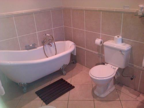 Hostal Pelagus House
