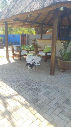 Bed & Breakfast Hhusha Hhusha