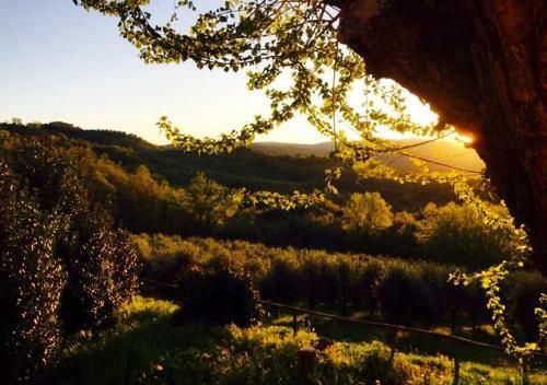 Hostal Podere Le Corone