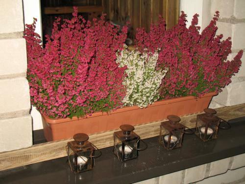 Hostal Pulkvedis Guest House
