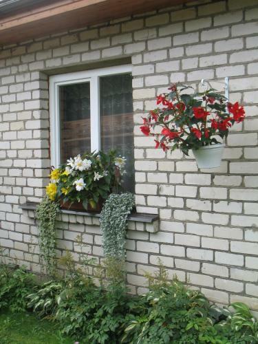 Hostal Pulkvedis Guest House