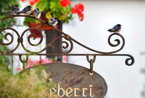Agroturismo Etxeberri Ostatua