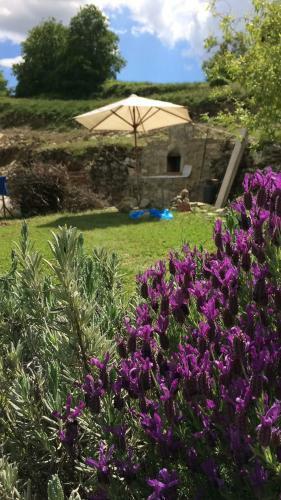 Apartamento B&B La Quercia Di Giada
