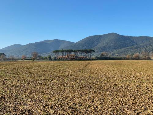 Agroturismo Borgo Bernabei