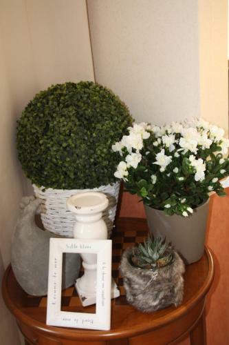 Hotel H�tel La C�te Sauvage