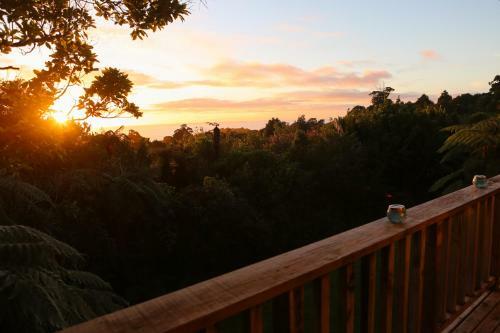 Lodge Te Nikau Retreat