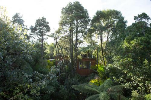 Lodge Te Nikau Retreat