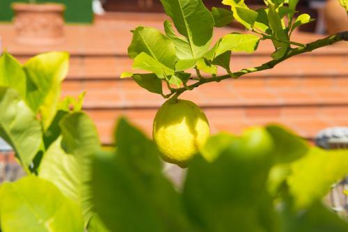 Agroturismo B&B Spring