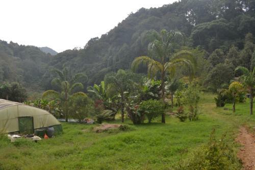 Agroturismo Caba�as La Jicarita
