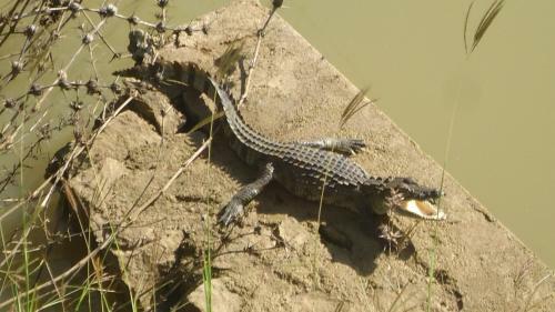 Heina Nature Resort, Kataragama, Sri Lanka