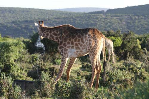 Valley Bushveld Country Lodge