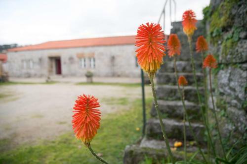 Agroturismo Casa Do Outeiro