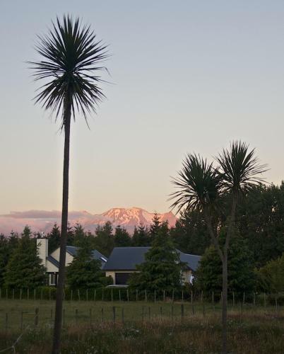 Hostal Ruapehu Country Lodge