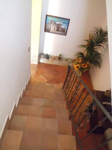 Bed & Breakfast La Mimosa Apartment
